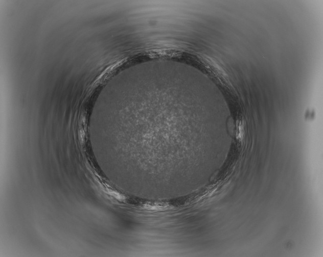 X0000090770915200707201435