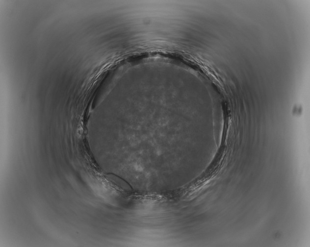 X0000090770916200707201435