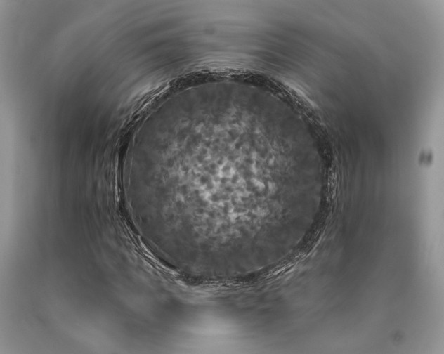 X0000090770917200707201435