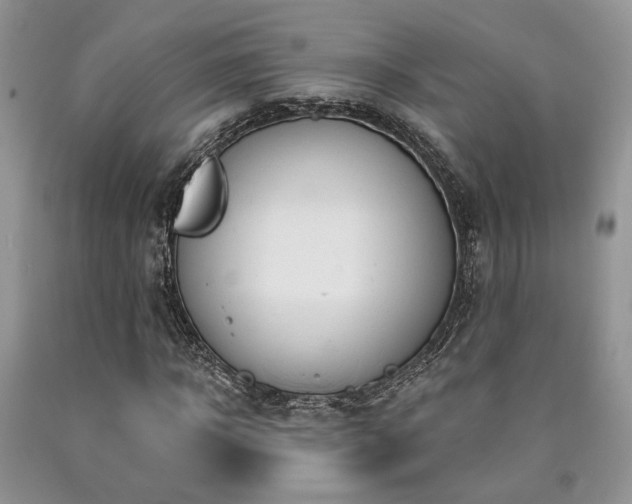 X0000090770918200707201435