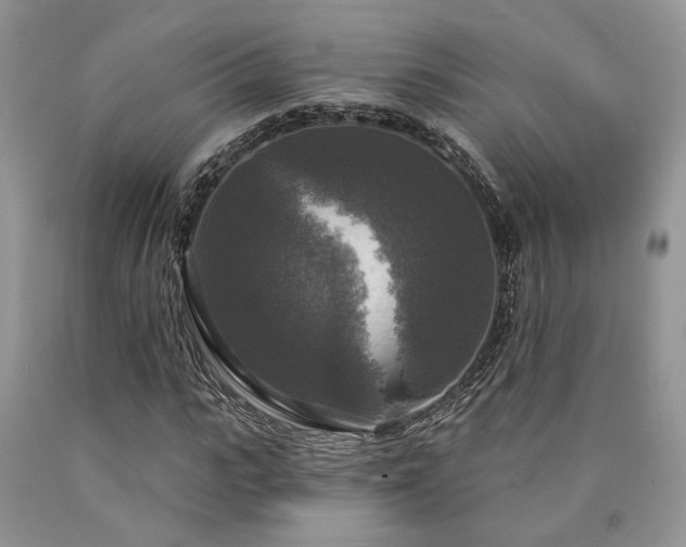 X0000090770919200707201435