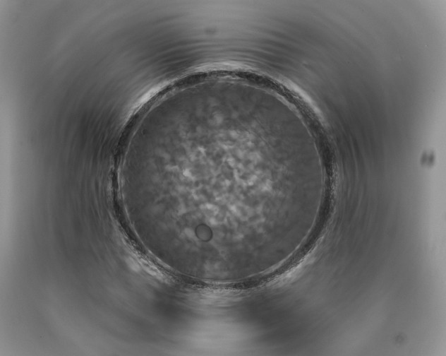 X0000090770921200707201435