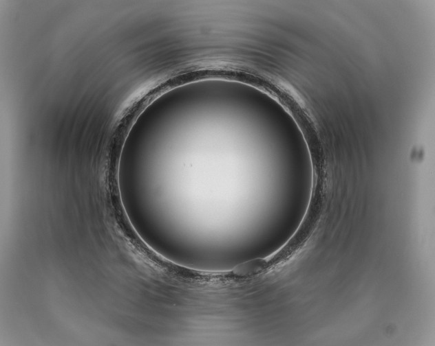 X0000090770922200707201435