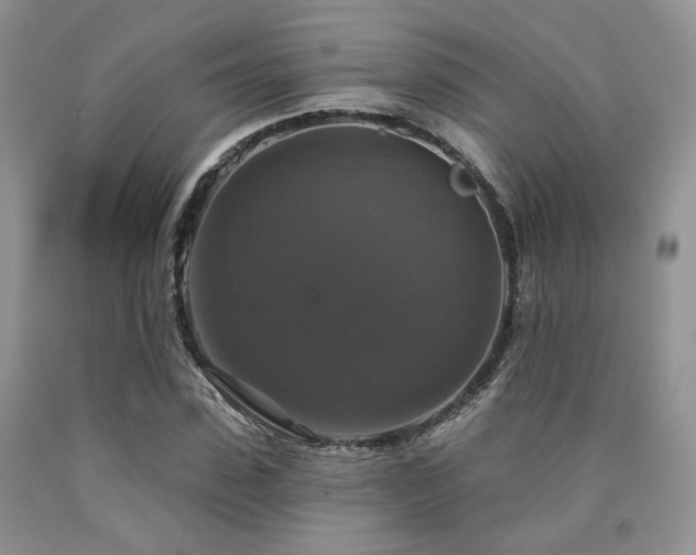 X0000090770923200707201435