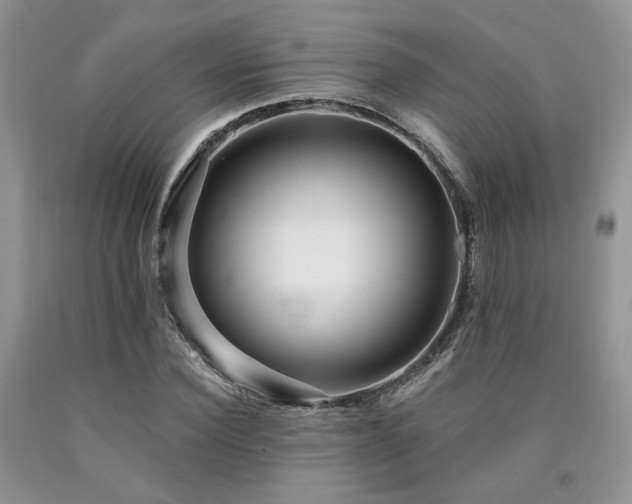 X0000090770924200707201435