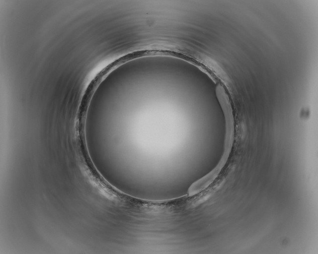 X0000090770928200707201435