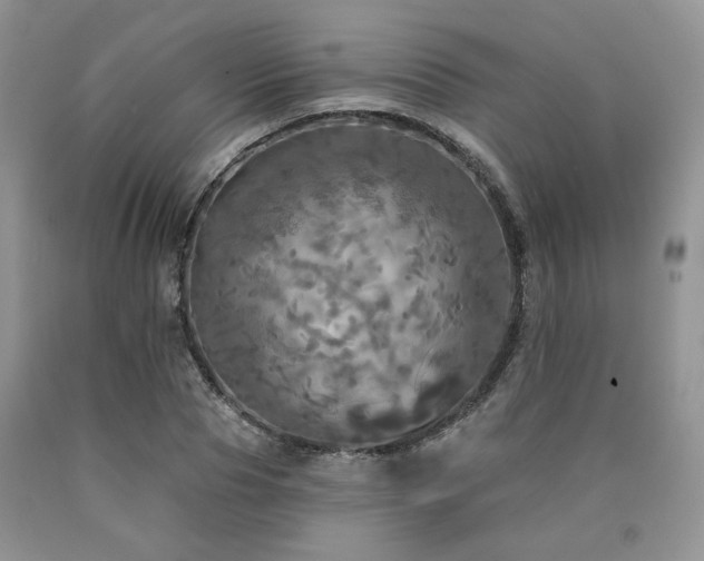 X0000090770929200707201435