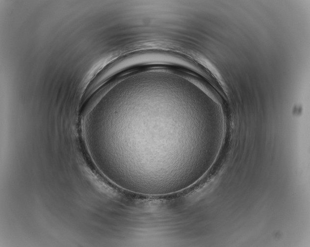 X0000090770930200707201435