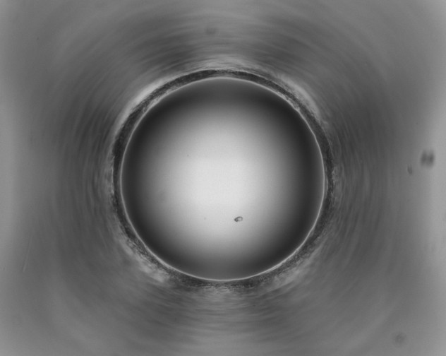 X0000090770931200707201435