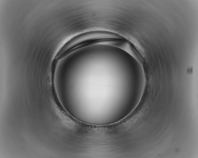 X0000090770934200707201436
