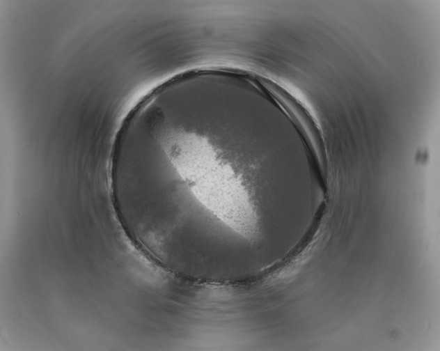X0000090770935200707201436