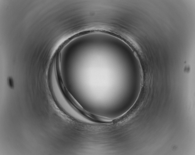 X0000090770936200707201436