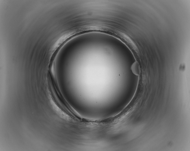 X0000090770938200707201436
