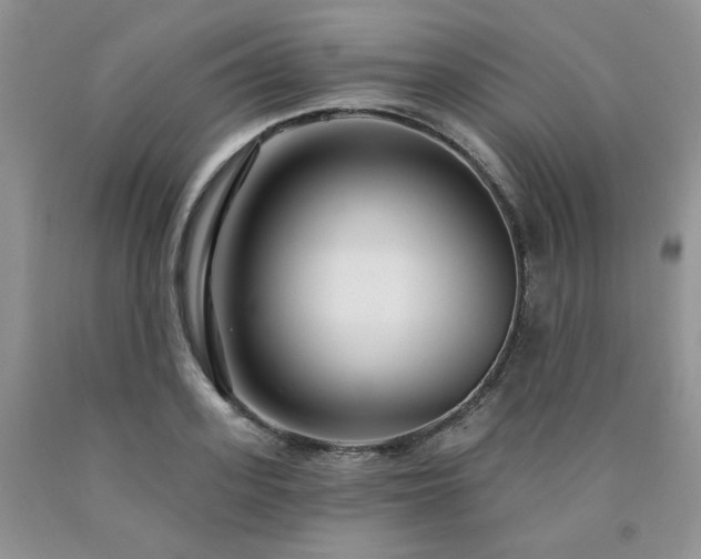 X0000090770939200707201436