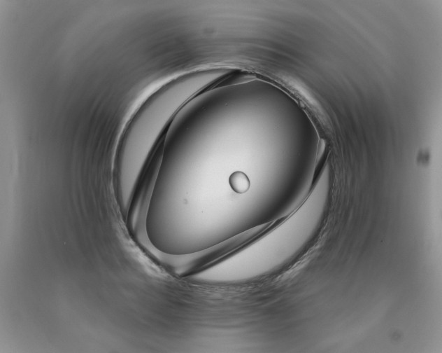 X0000090770940200707201436