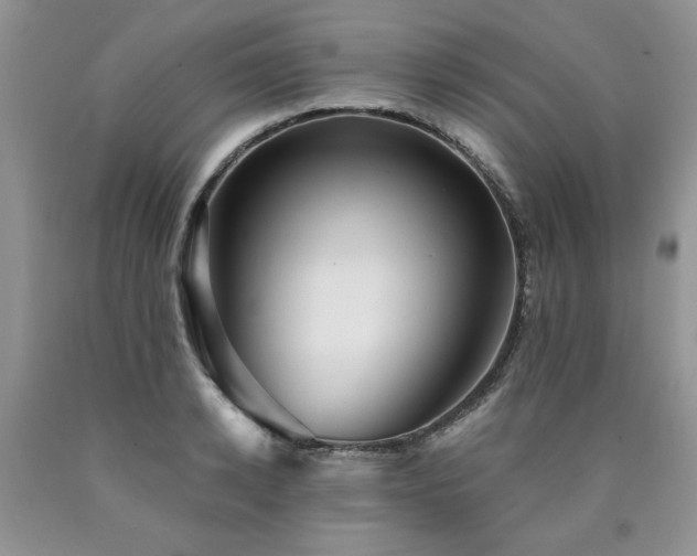 X0000090770942200707201436