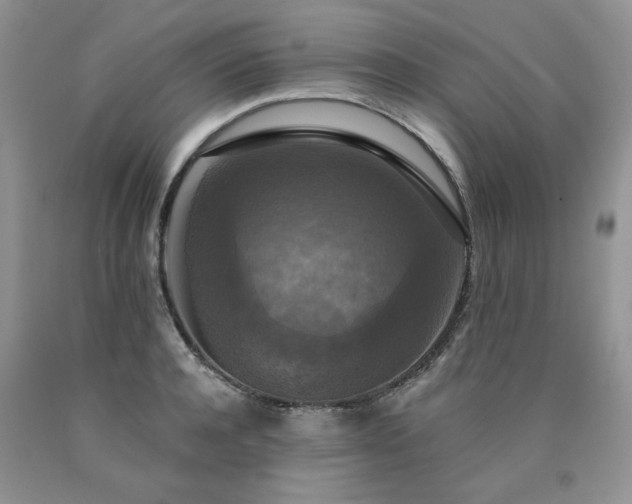 X0000090770944200707201436