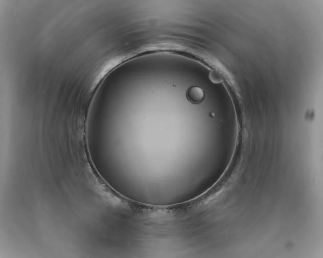 X0000090770945200707201436