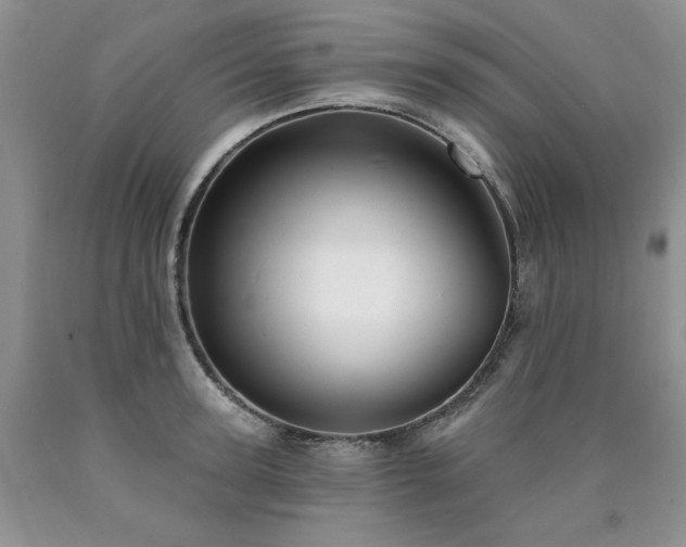 X0000090770947200707201436