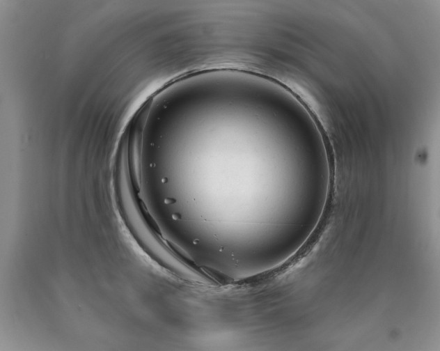 X0000090770949200707201436