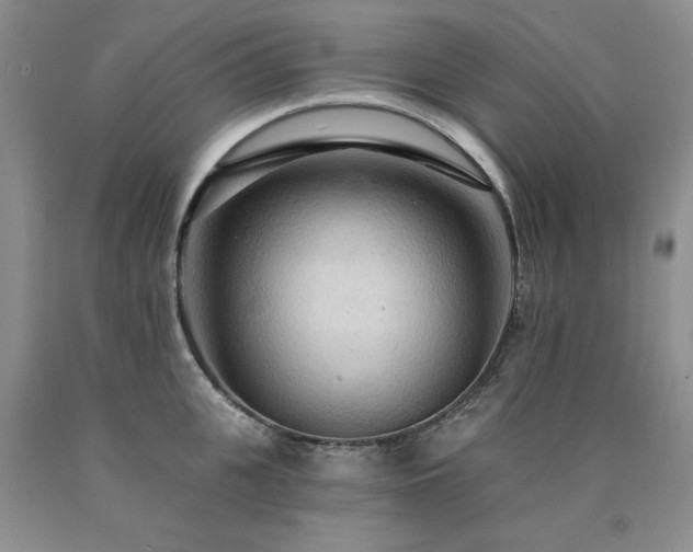 X0000090770951200707201436