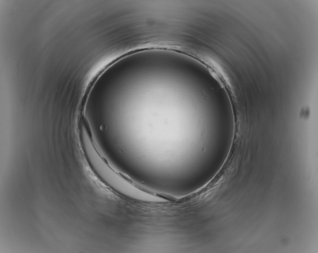 X0000090770952200707201436