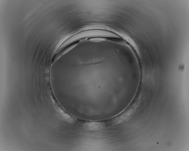 X0000090770953200707201436