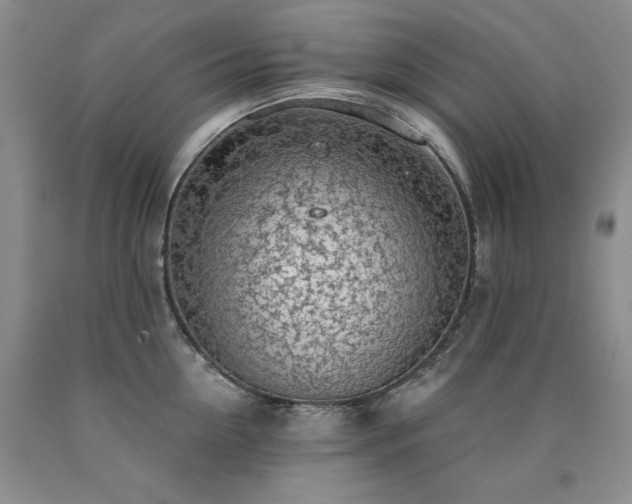 X0000090770954200707201436