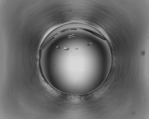 X0000090770955200707201436
