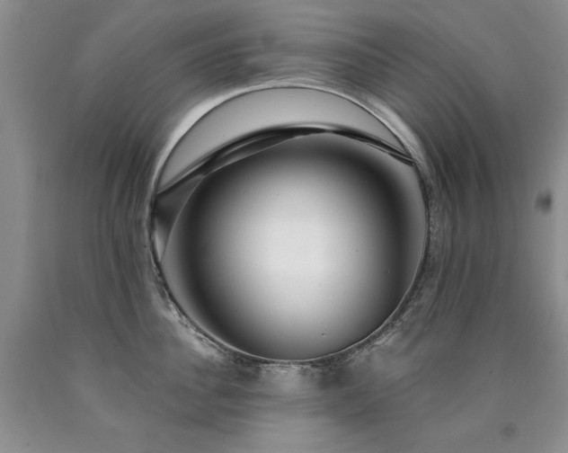 X0000090770956200707201436