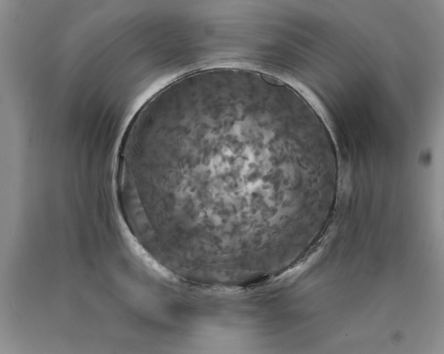 X0000090770957200707201436