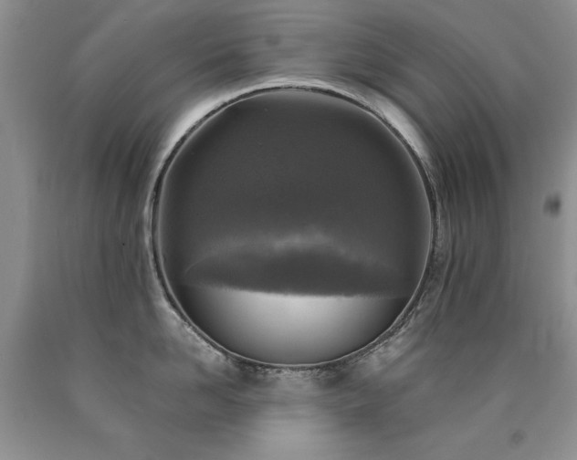 X0000090770958200707201436