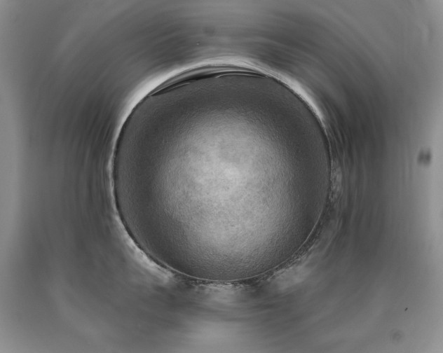 X0000090770959200707201436