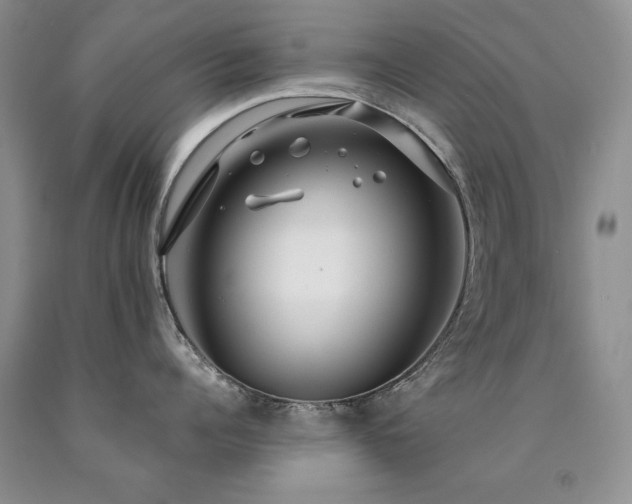 X0000090770960200707201436