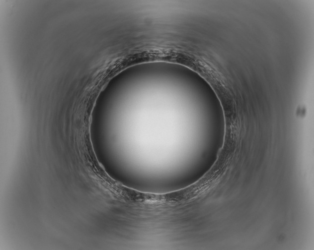 X0000090770961200707201435