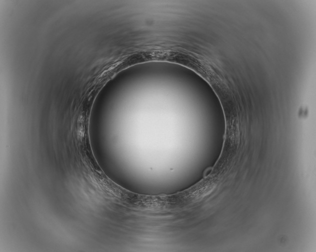 X0000090770962200707201435