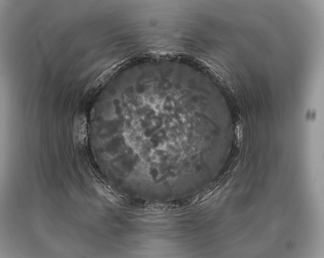X0000090770963200707201435