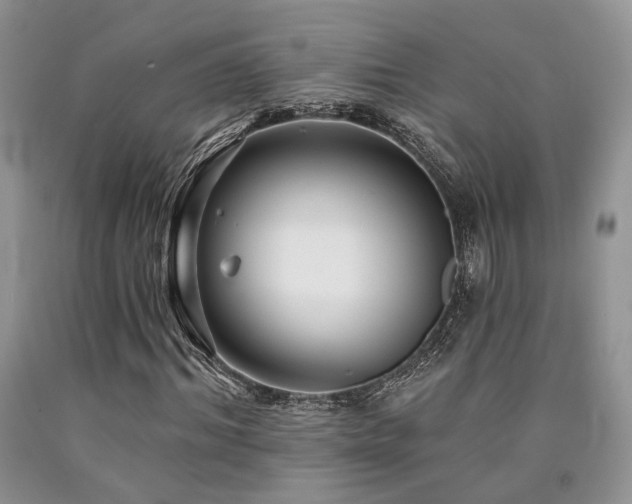 X0000090770964200707201435