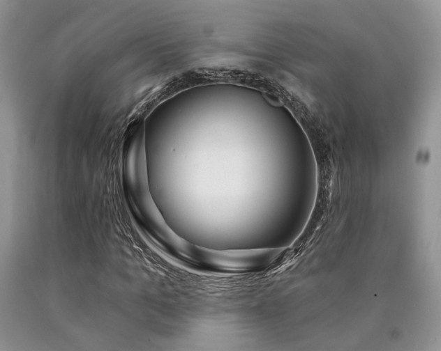X0000090770965200707201435