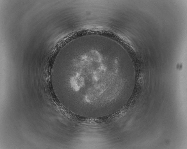 X0000090770966200707201435