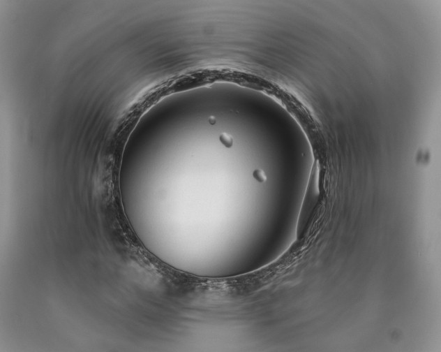 X0000090770968200707201435