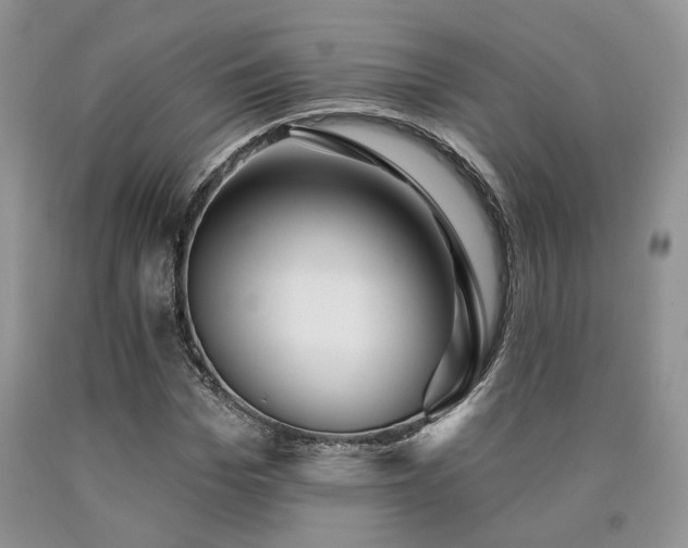 X0000090770969200707201435