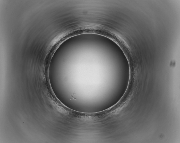 X0000090770970200707201435