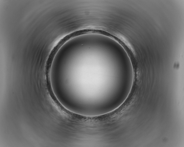 X0000090770972200707201435