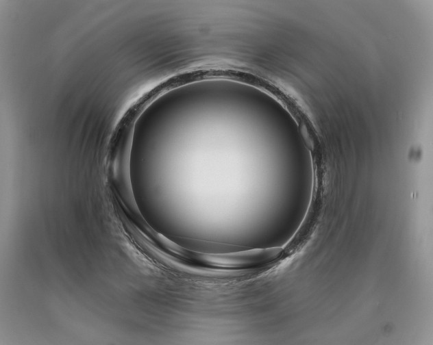 X0000090770973200707201435