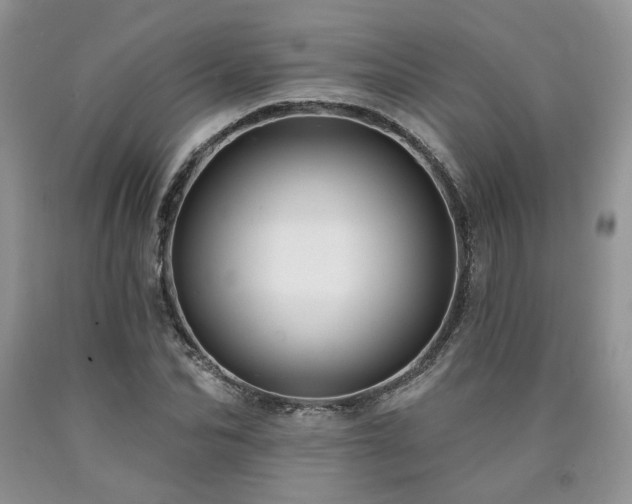 X0000090770974200707201435