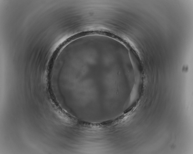 X0000090770975200707201435