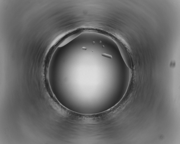 X0000090770976200707201435