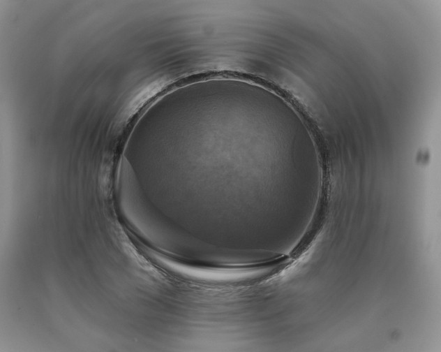 X0000090770977200707201435