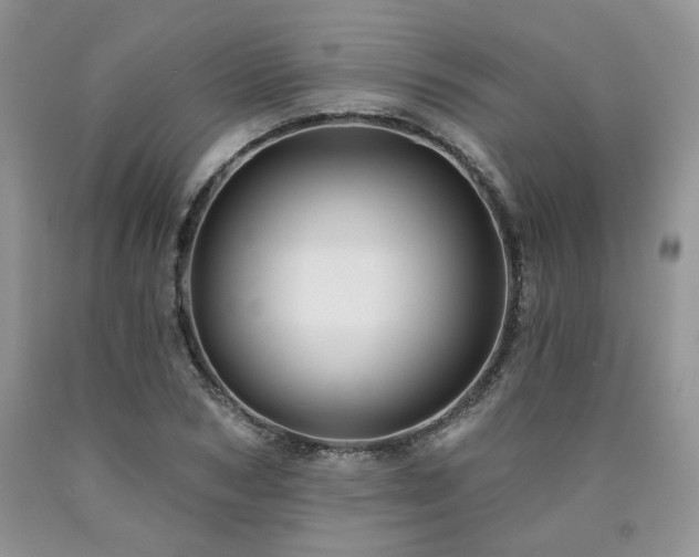 X0000090770978200707201435